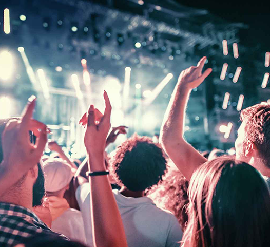 An excited concert audience